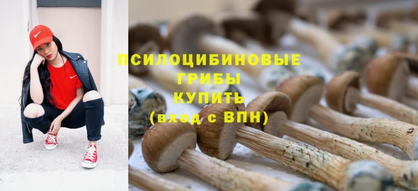 mdpv Богданович