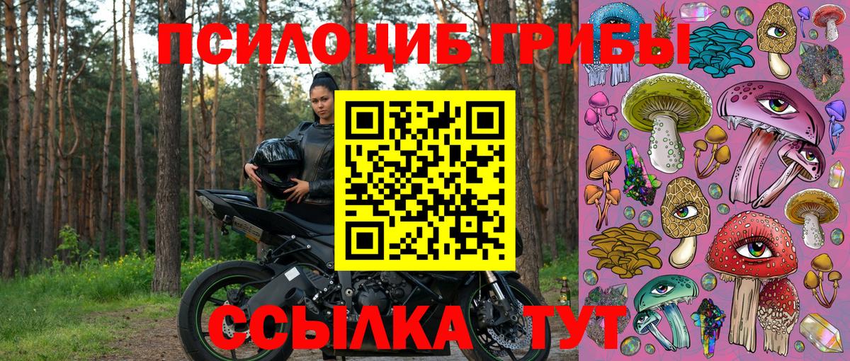 Псилоцибиновые грибы прущие грибы Верхняя Салда