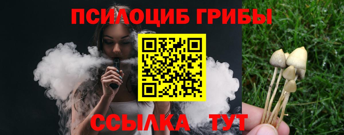 Галлюциногенные грибы Cubensis  Галлюциногенные грибы прущие грибы  Вход с VPN  Верхняя Салда 